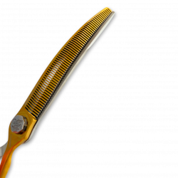 570-RV 3
